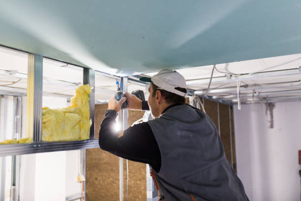 Best Insulation Maintenance and Repair in Thorp, WI