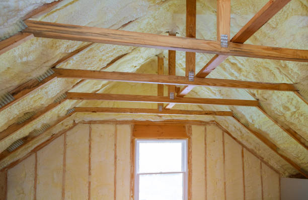 Best Types of Insulation in Thorp, WI