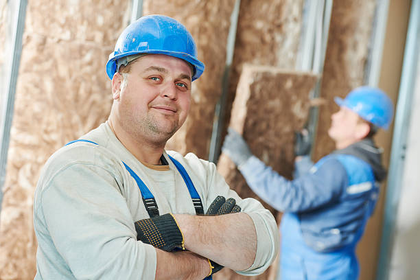 Best Types of Insulation in Thorp, WI
